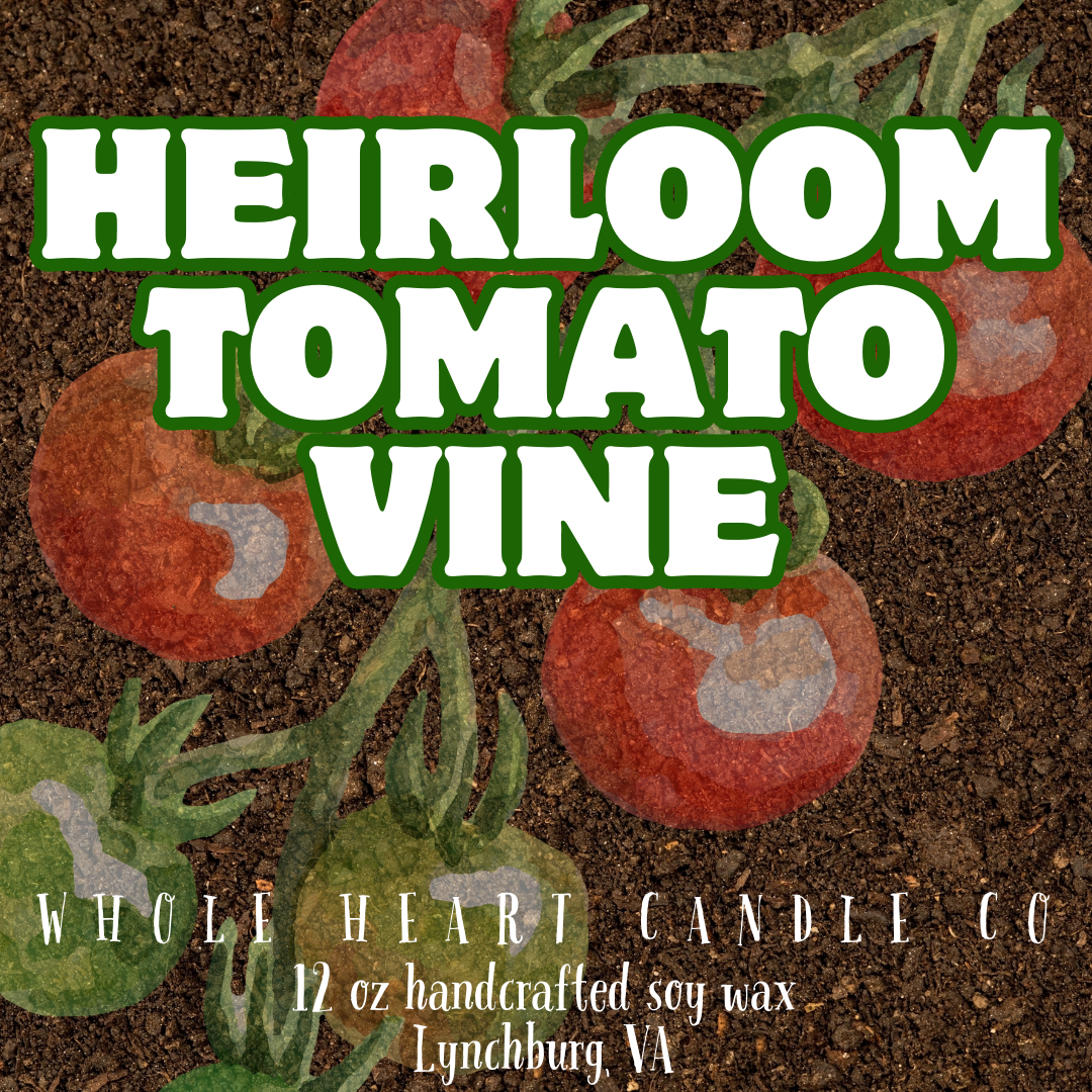 Heirloom Tomato Vine